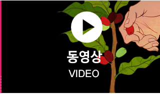동영상  