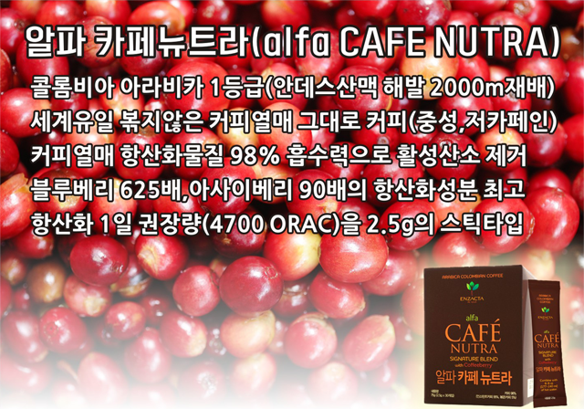 엔잭타 다이어트 요기요